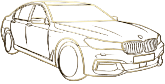 VIP Top Service logo